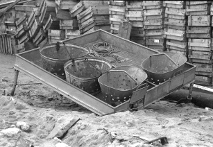 lildstrand1971_53