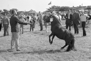 dyrskue1967_07