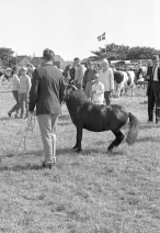 dyrskue1967_08