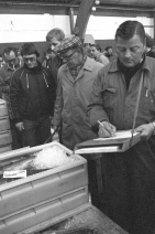 hanstholmfisk1975_10