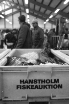 hanstholmfisk1975_13