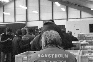 hanstholmfisk1975_19