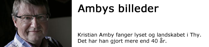 ambyoversigt