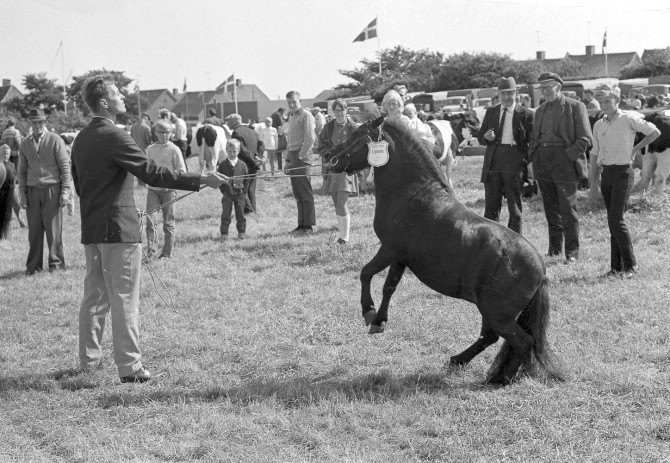 dyrskue1967_07