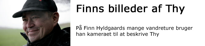 finnhyldgaardoversigt