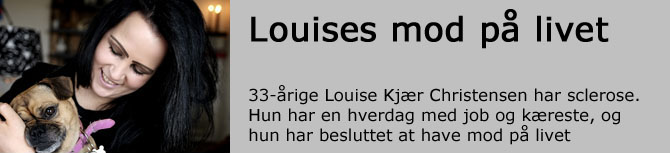 louisekoversigt