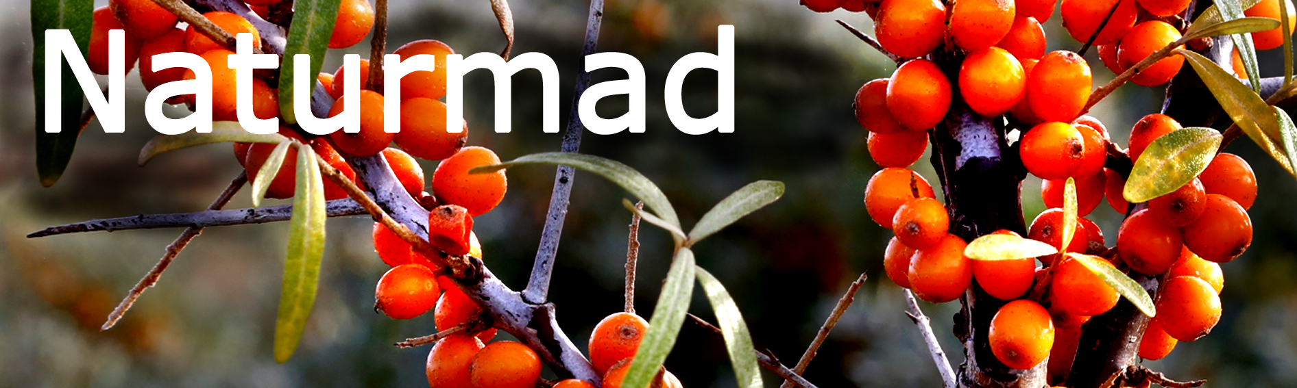 naturmad_ny